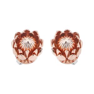brinco-protea